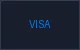 Visa支付